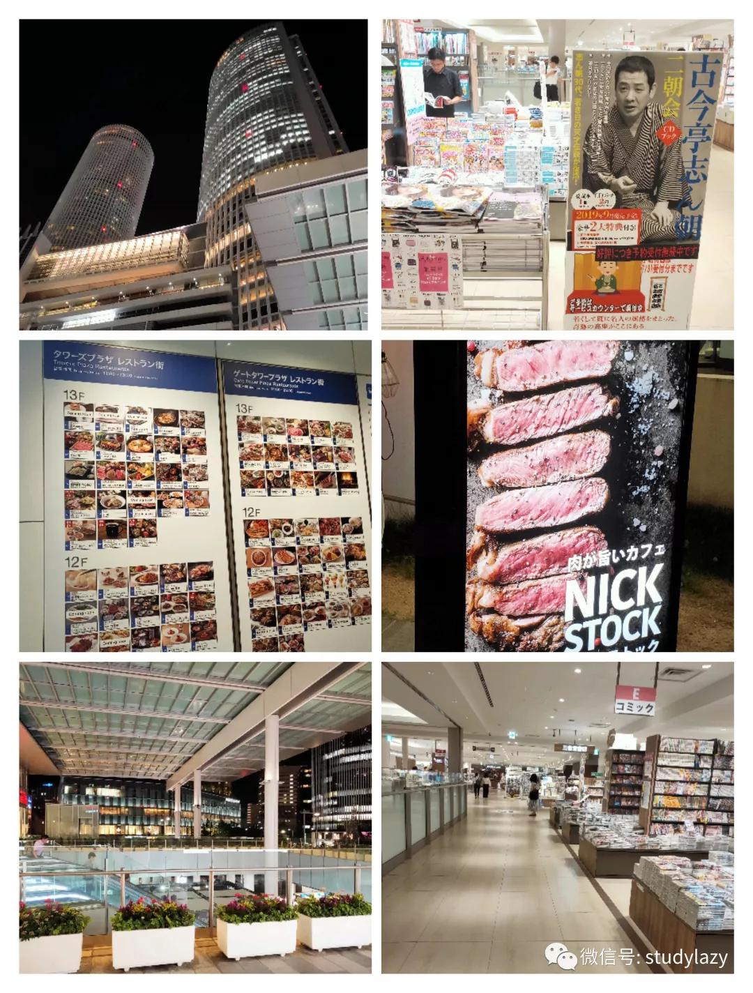 日本名古屋鲸,日本名古屋樱花