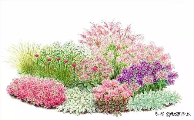 这种乱七八糟滴栽花方式,到底是不是园丁出了问题?