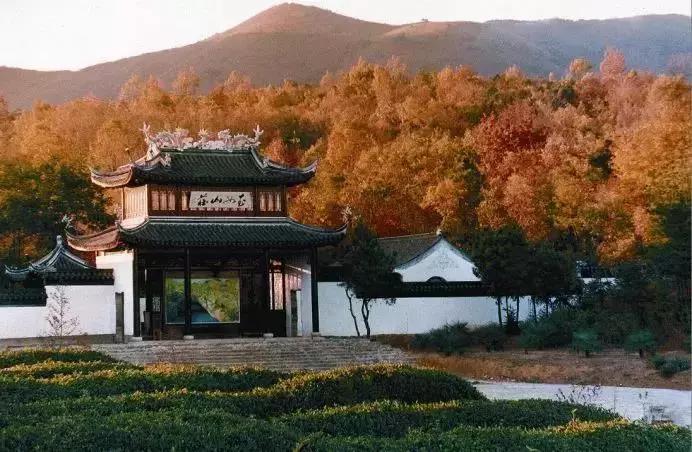 飞翔房车拉摩托,飞翔带上音乐去旅行