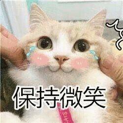 有没有发错微信给老板,错把消息发给老板