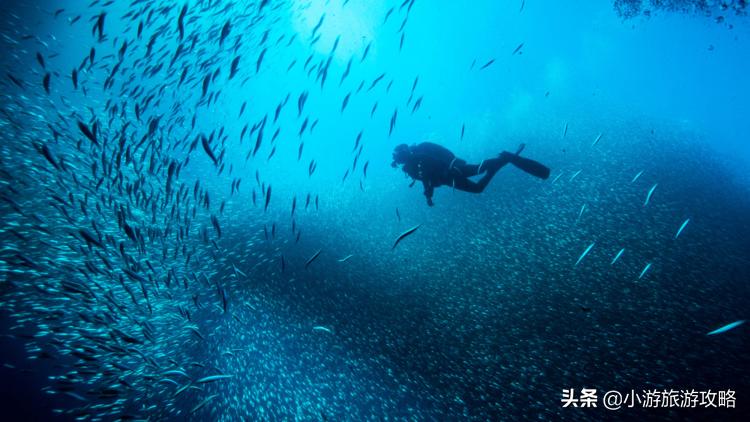 潜水小白必看,潜水圣地三天旅游攻略