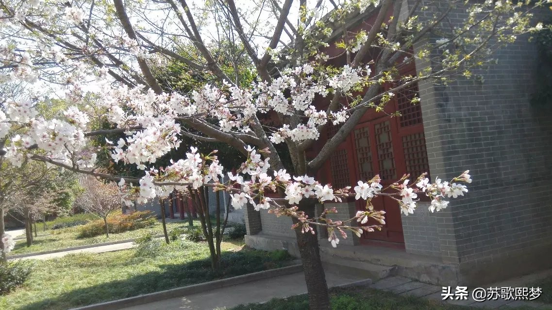 我和横店有个缘