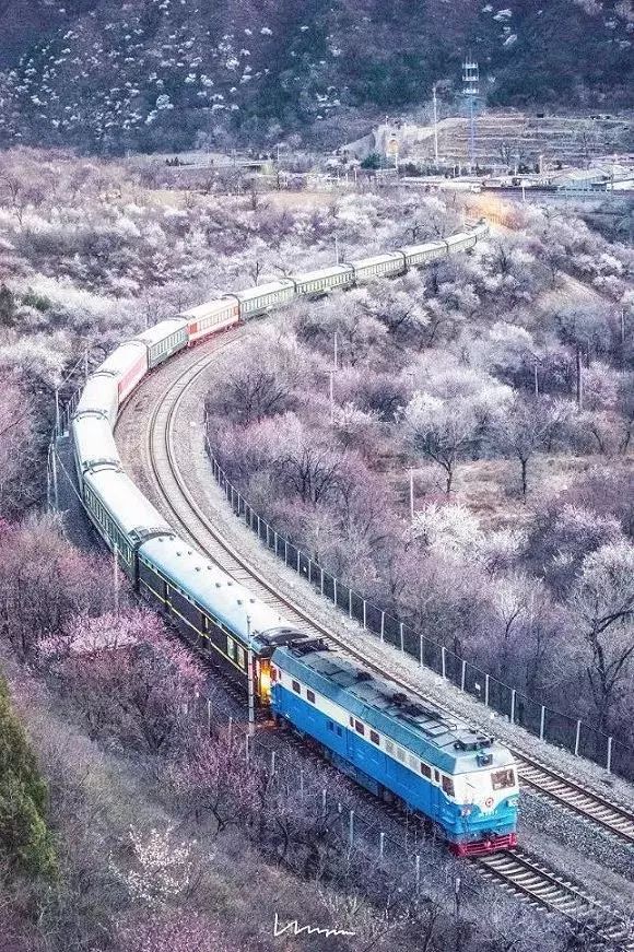 太美了开往春天的列车,这些开往春天的列车简直美呆了