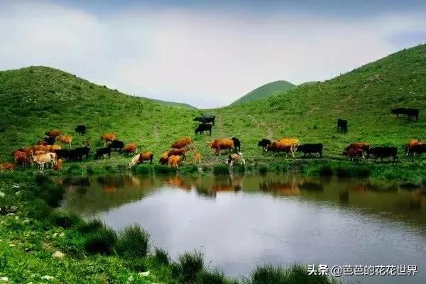 黔东南世外桃源,黔东南春节游玩推荐