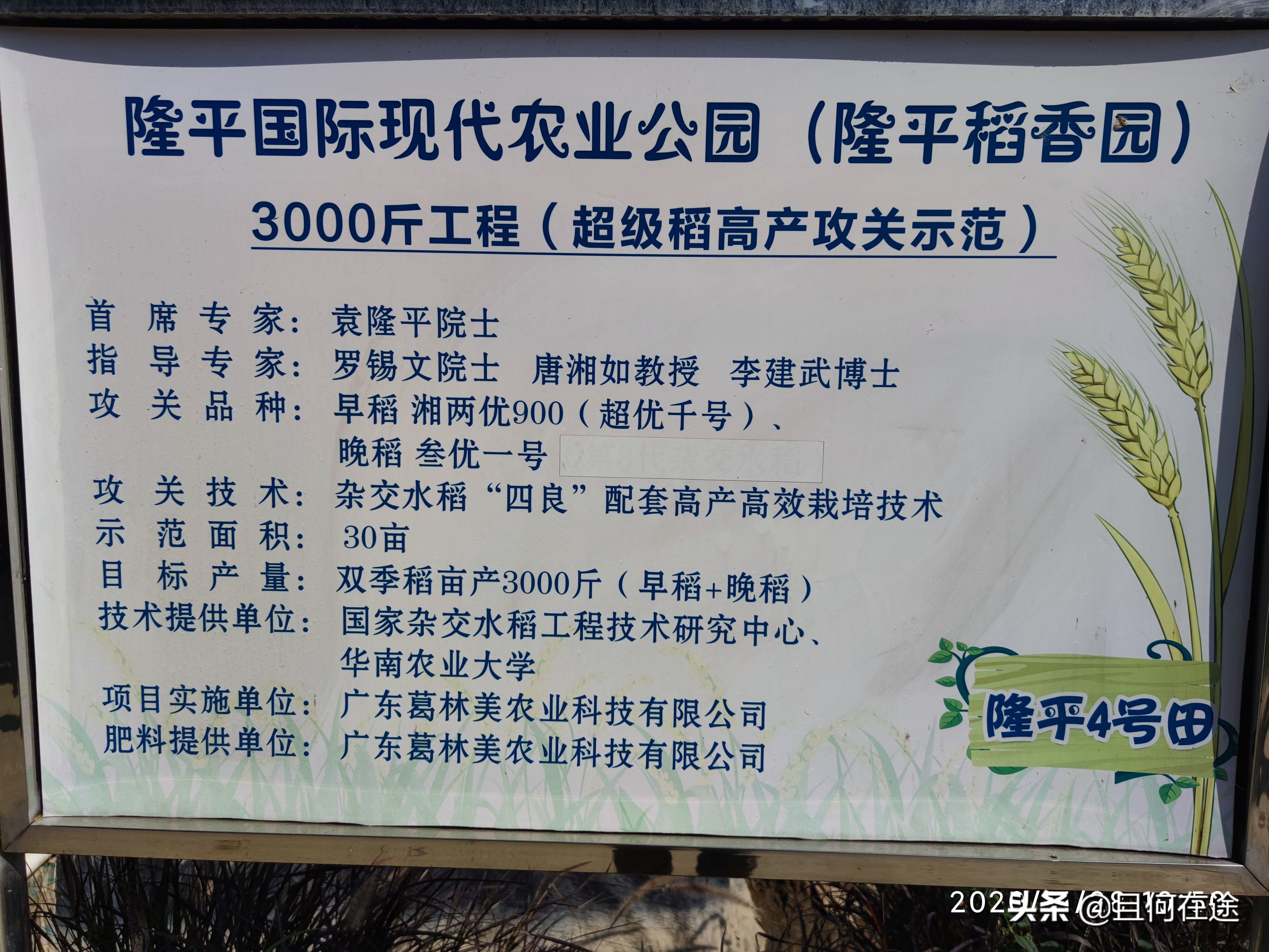为什么要把饭碗牢牢端在自己手中,怎样才能把自己饭碗端在自己手里