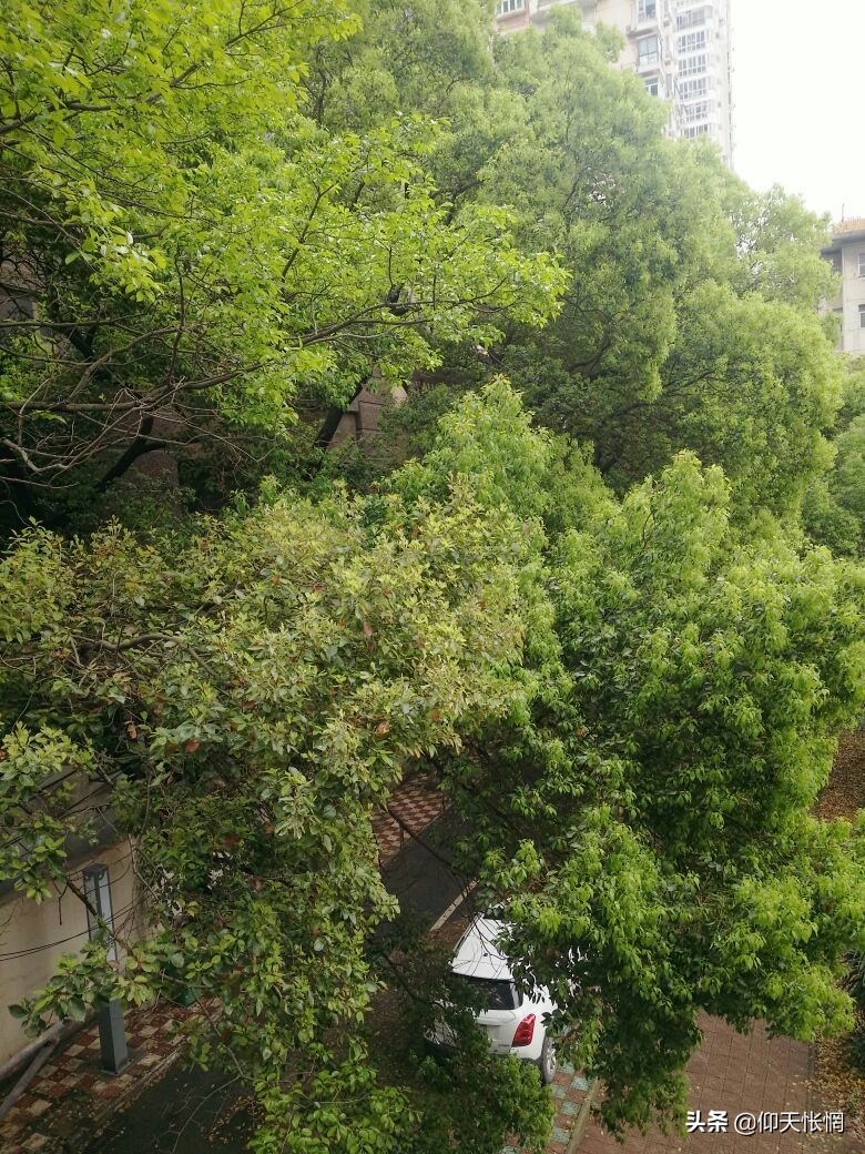 真正的底层人,真正的社会最底层的人