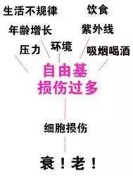 小红书安利翻车文章,小红书翻车全集