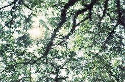 绂忓缓姘村ご娲楁荡妗戞嬁,绂忓缓妗戞嬁