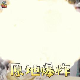 鍛煎拰娴╃壒姘戠敓鏈嶅姟骞冲彴,鍛煎拰娴╃壒姘戠敓鏈嶅姟骞冲彴鐩存挱