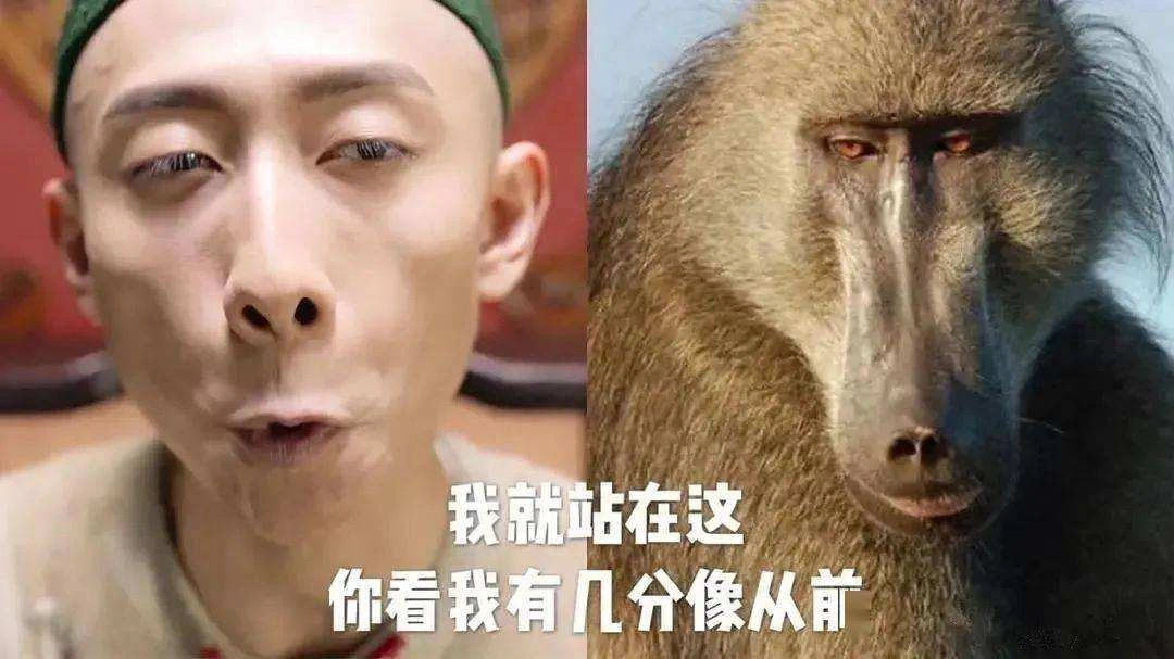 张一山鹿鼎记被吐槽,鹿鼎记张一山遭吐槽