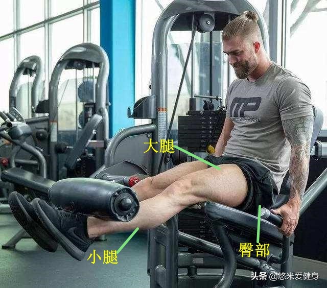 新手如何用一对哑铃练到全身,1对哑铃7个动作帮你训练全身肌肉