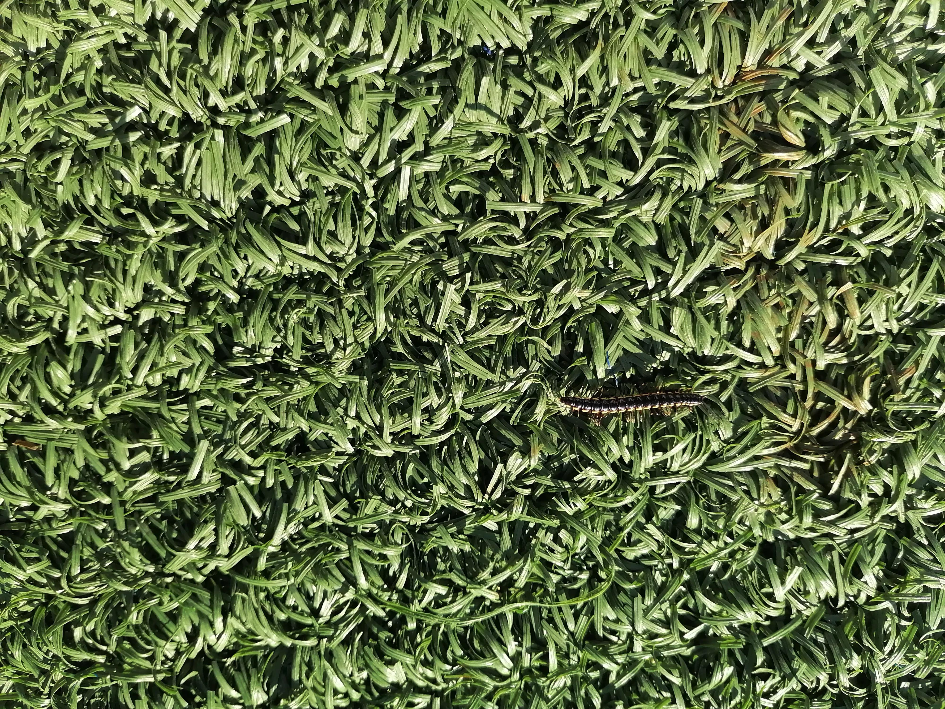 体育运动的价值和意义,体育运动的价值取向