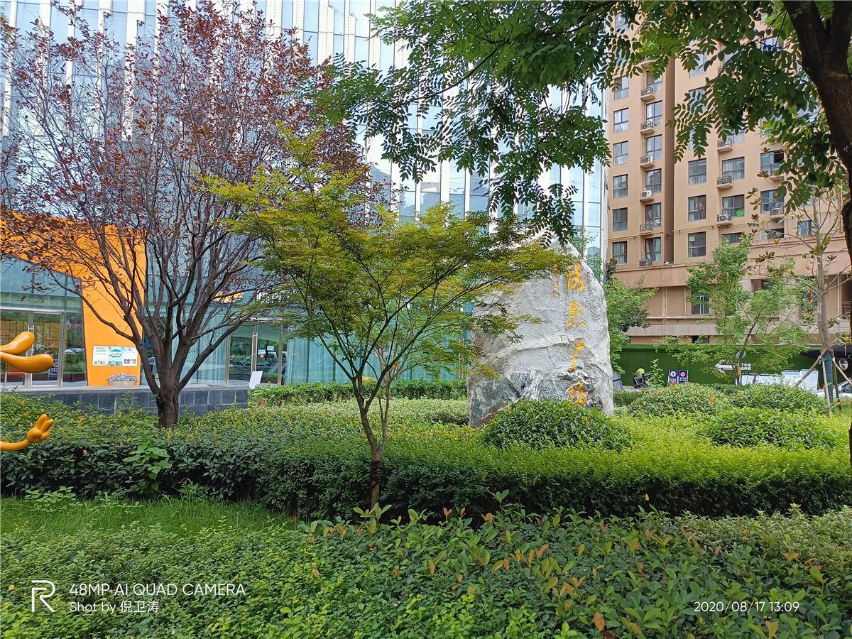 真我v55g,真我v5对比v15