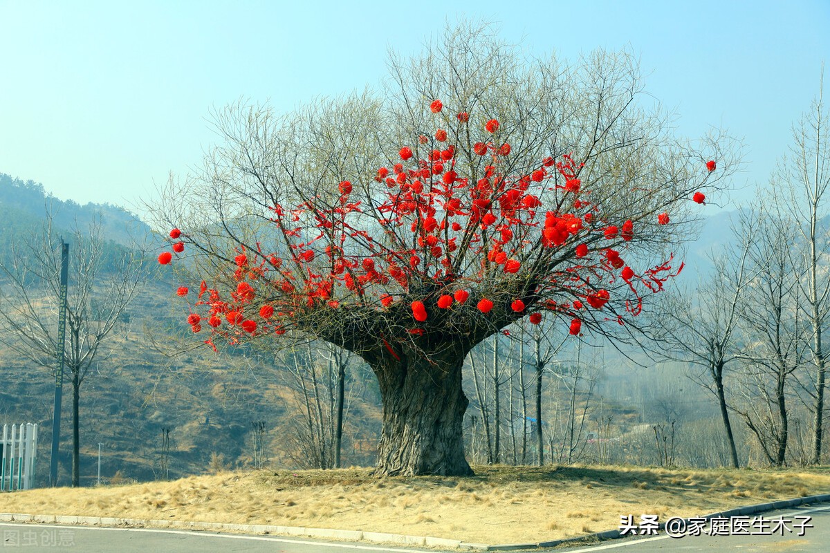 为什么肺结核病这么难治,空洞型肺结核比一般结核难治吗