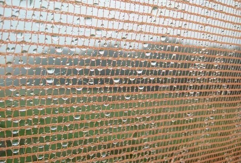 设计师在非洲做了个花篮，用来向天空借水