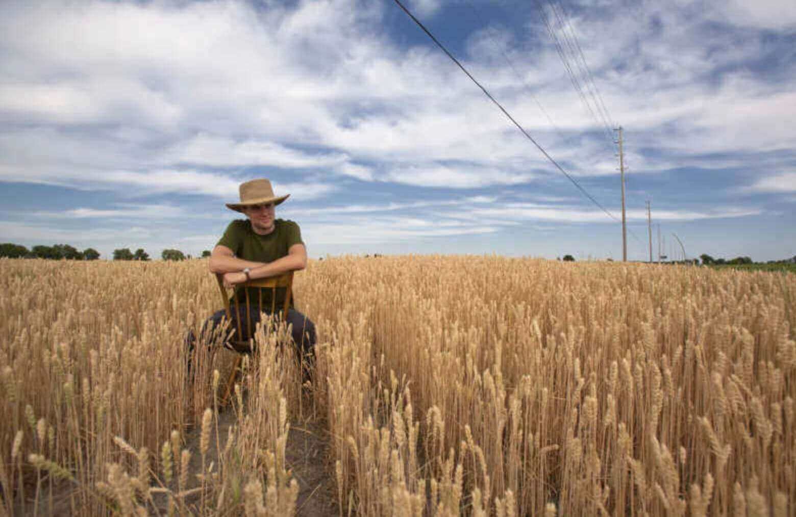 日本县民税和市民税,日本有哪些杂税