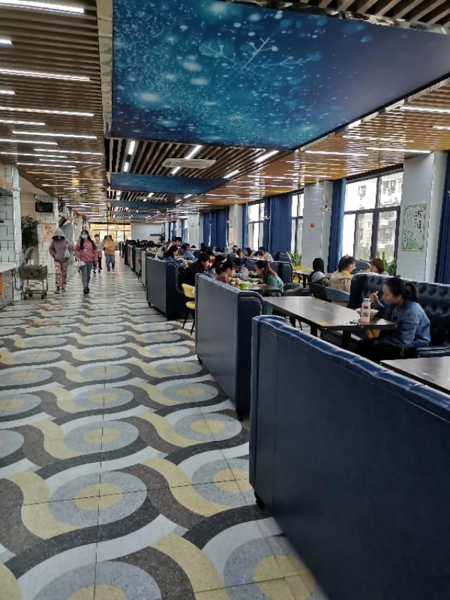 沐春简历,沐春大学