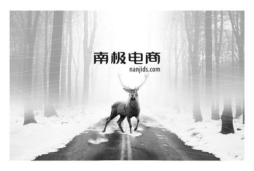 南极人鸳鸯回力鞋 (南极人鞋子和回力鞋子比较)