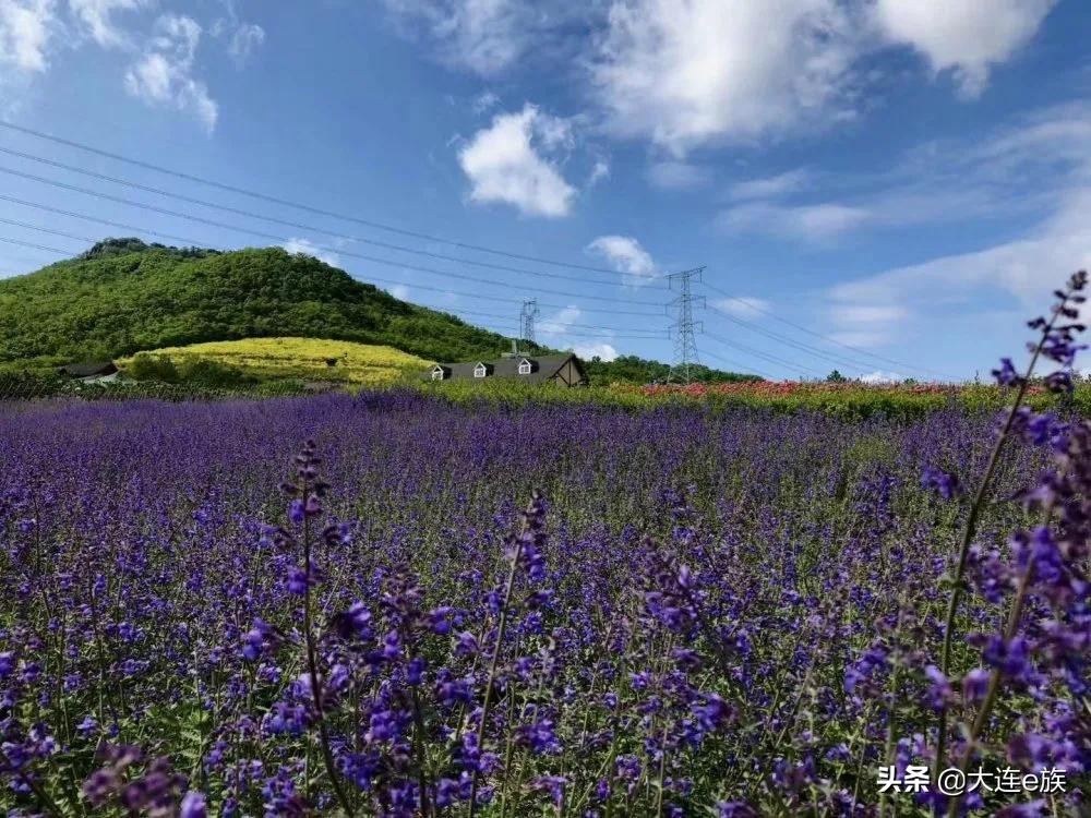2022灵山春节免费景点,1月份哪些景点免费