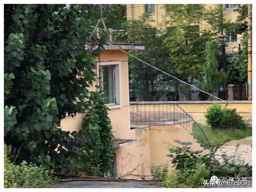 大沈阳岁月钩沉-春日公园水源地