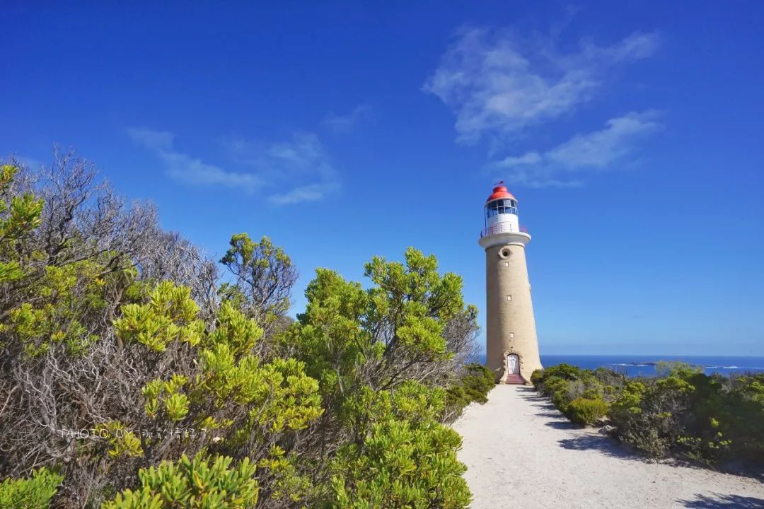 赴澳旅游注意，若带蜂蜜制品上岛，将被判两年监禁或8000澳元罚款