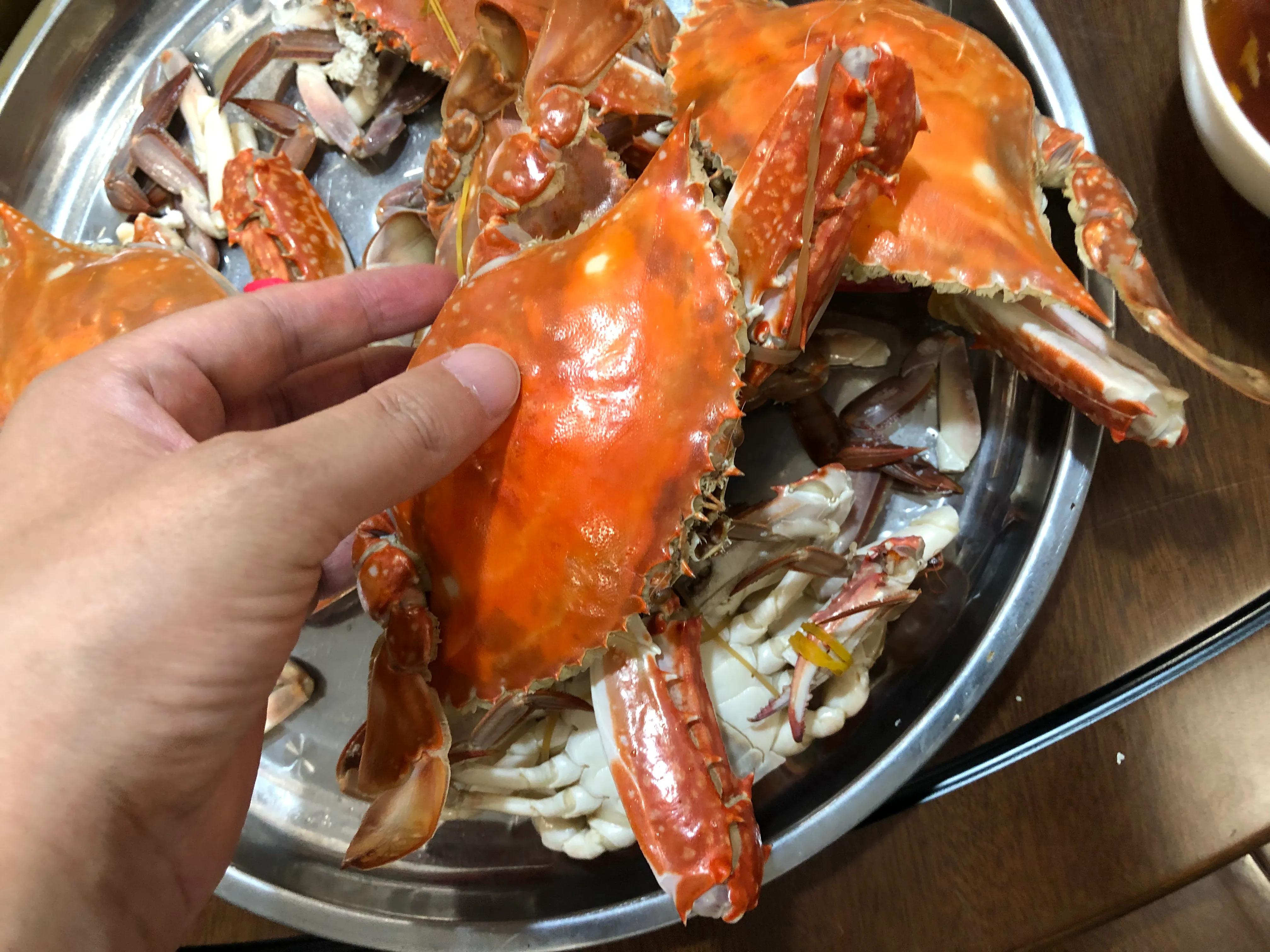 在山东有一种炫富叫开海,有种炫富叫青岛开海了