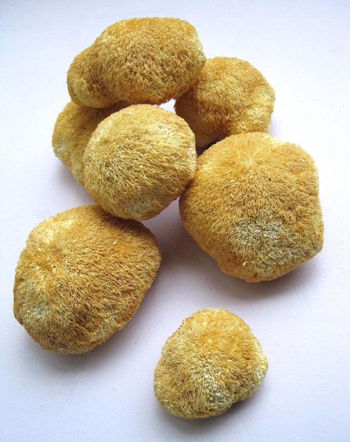 哈尔滨市内环境,哈尔滨一年四季的现状