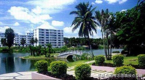 海南大学各专业2019录取分数线,海南大学中外合作专业录取分数线