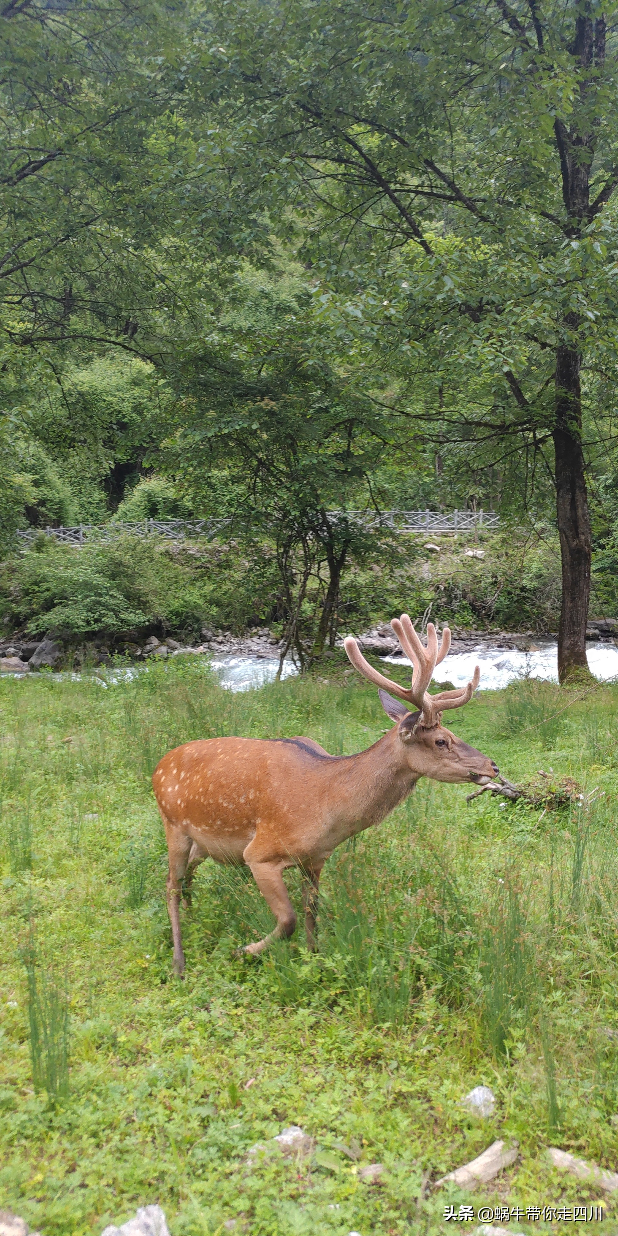成都到西藏旅游一家三口,成都出发三天两夜旅行套票