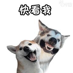 姓名大数据报告发布2024,姓名查询所有数据