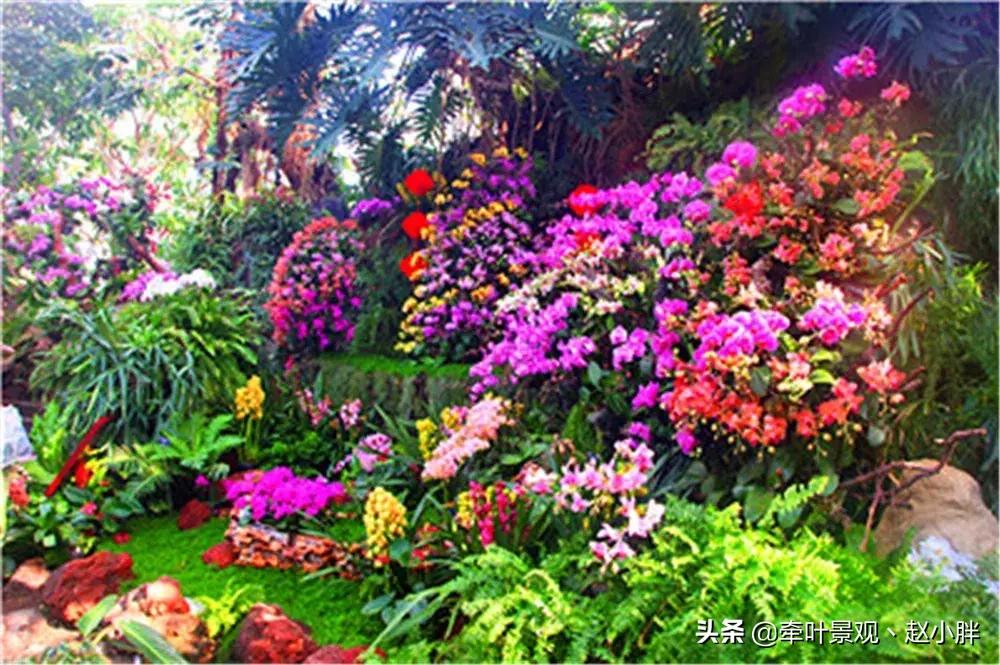 踏春寻美景,踏春赏花梯田漫步