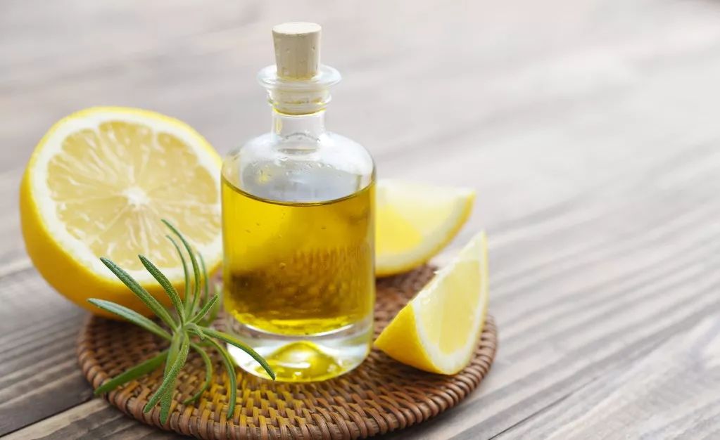 三十种绝对不能给猫吃的食物,猫不能吃的50种食物大全