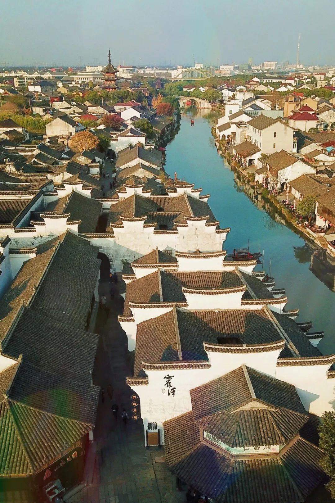 卖出1000多碗羊肉面,每天卖四五百斤羊肉