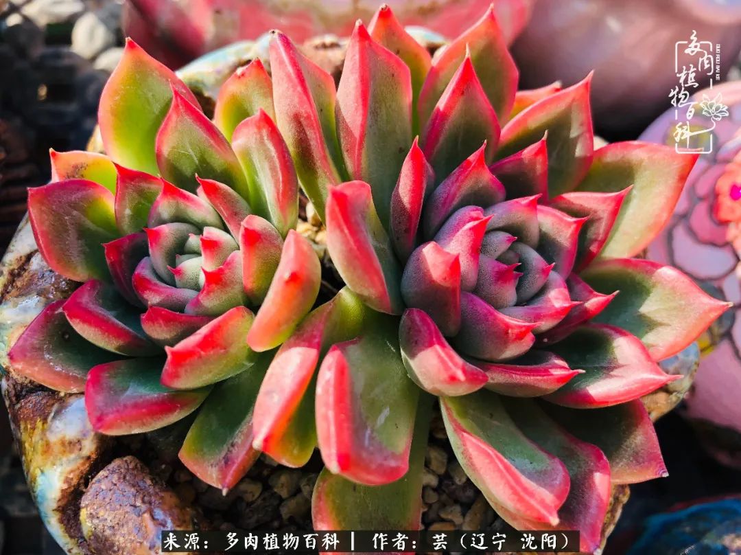 万物皆有灵性有因必有果,万物皆有灵性与生命