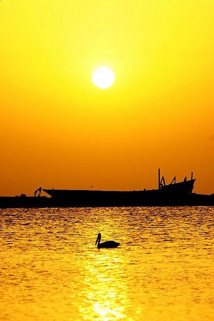 窗户东边开，健康自然来。不看不知道，一看必记牢