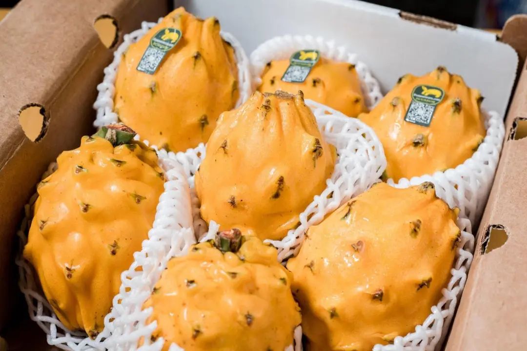 澳洲水果的营养价值,澳洲必吃的10种水果