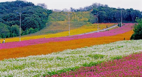 大连铭湖牧场一日游攻略,大连铭湖牧场观光图片