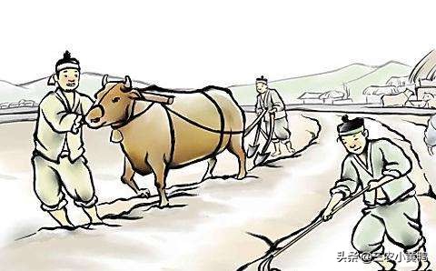 2025年寡妇年什么意思,2023年的寡妇年是啥意思