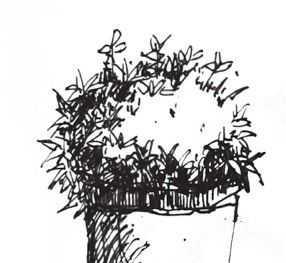 速写小知识,速写的知识