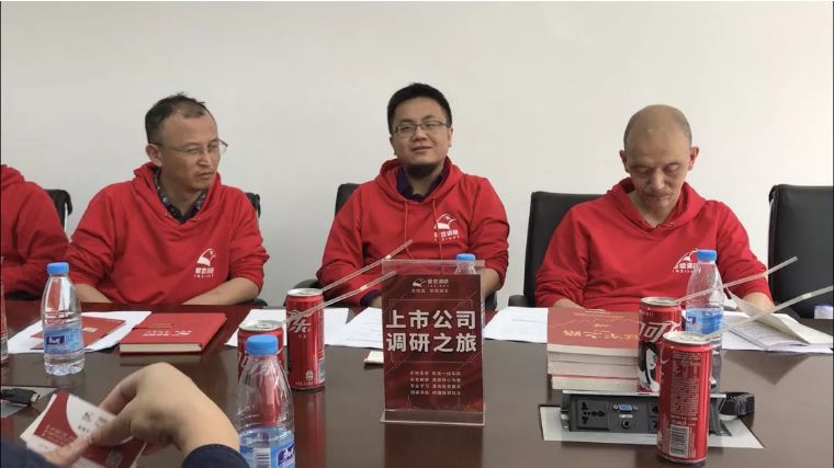 新能源汽车冠军是谁,法拉电子与新能源车的关系