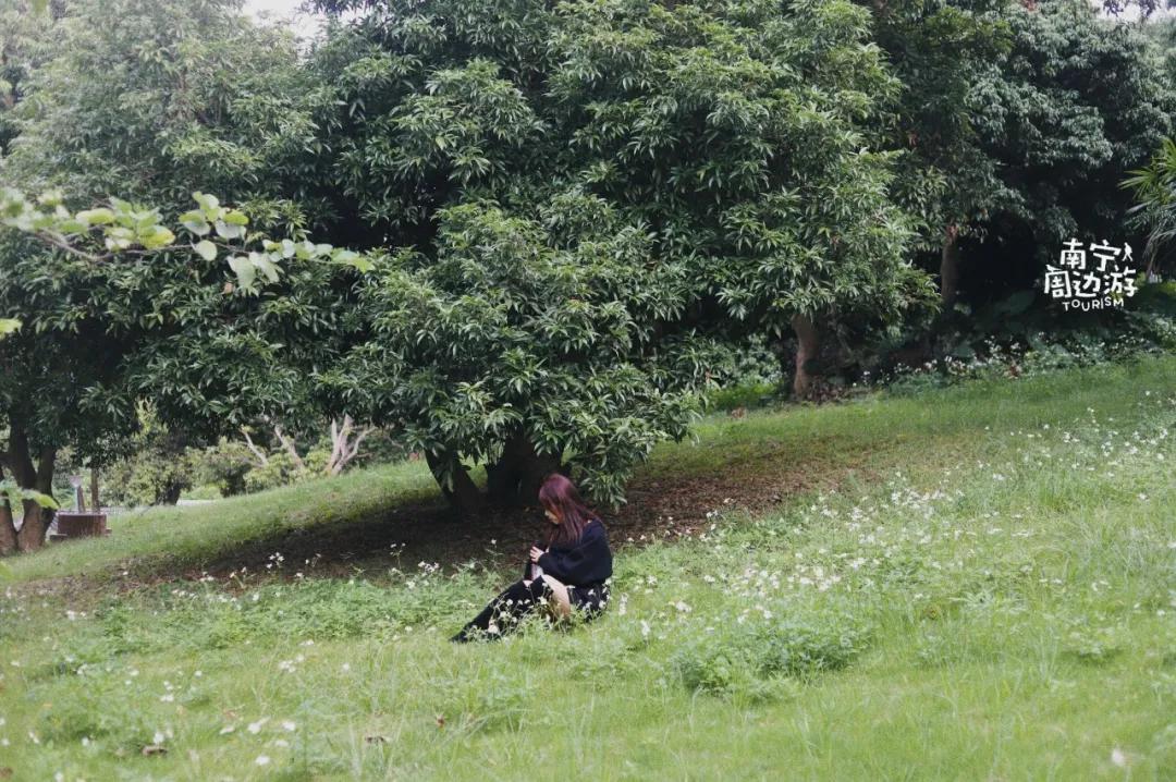 南宁花海公园在哪里,南宁嘉和城附近花海