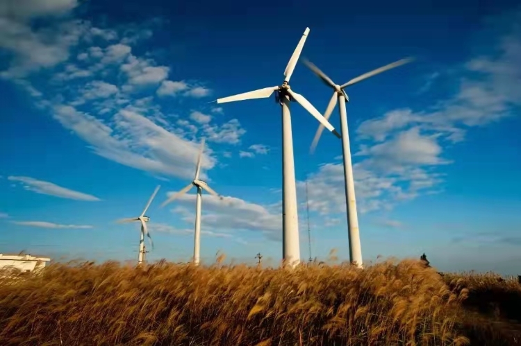 温州5个宝藏古村,温州宝藏打卡地