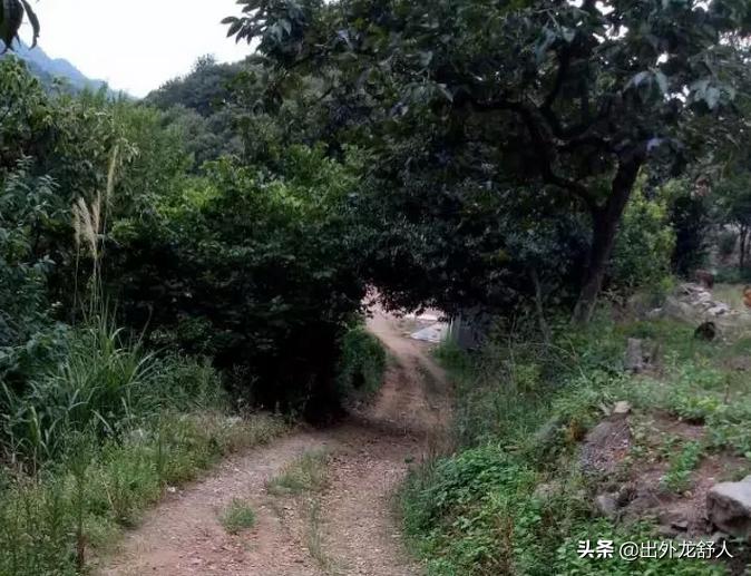 安徽舒城：漫漫十里寻访舒桐古道，悠悠岁月聆听传奇故事！