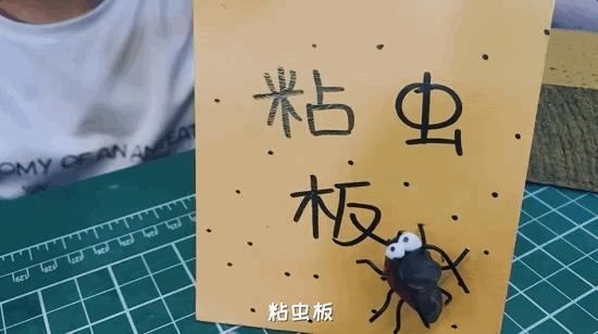 如何灭绝室内蟑螂虫卵,消除老房子蟑螂的方法