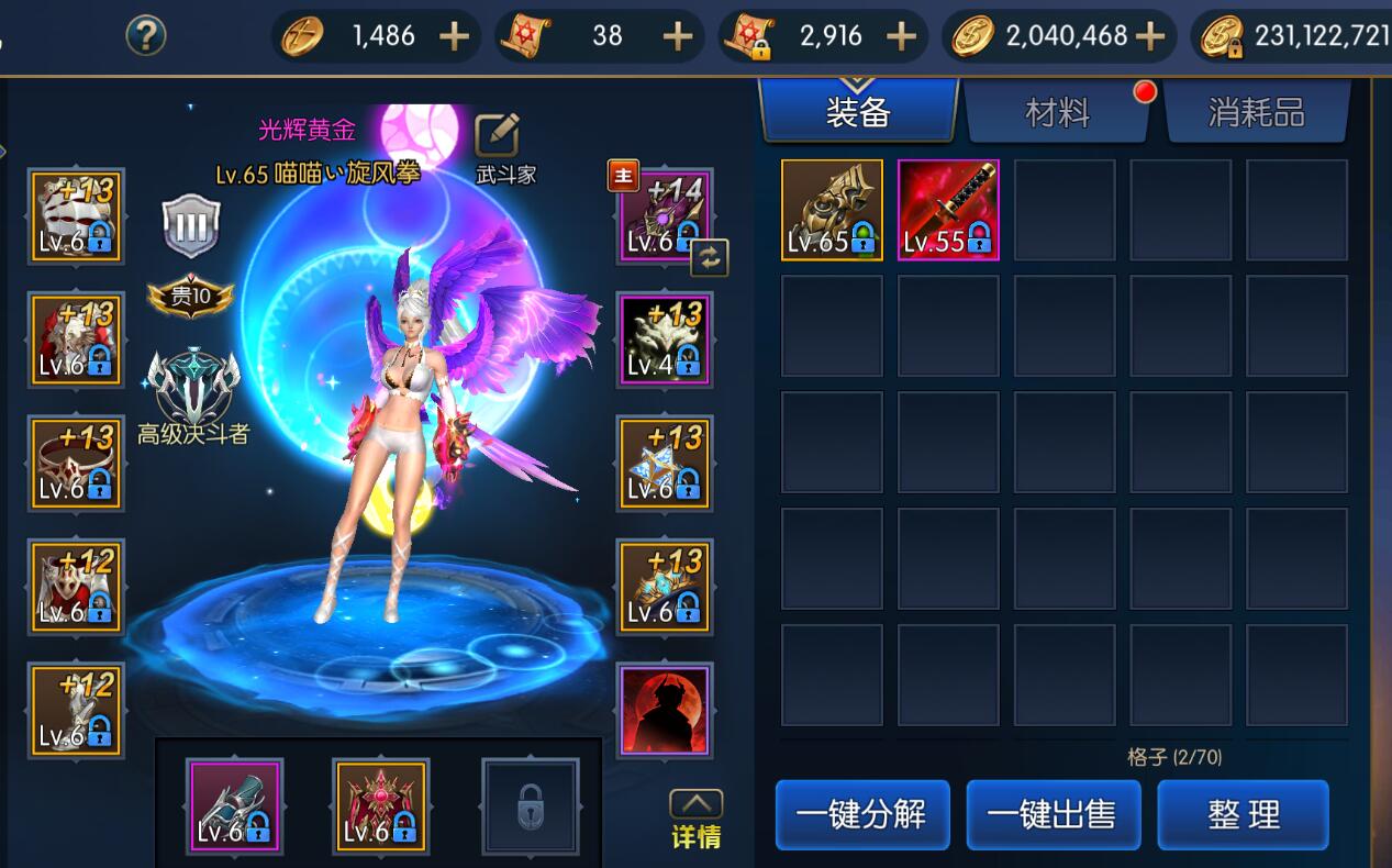 盗版被玩成正版了？阿拉德之怒号比DNF还值钱，14*器武**卖出6700块