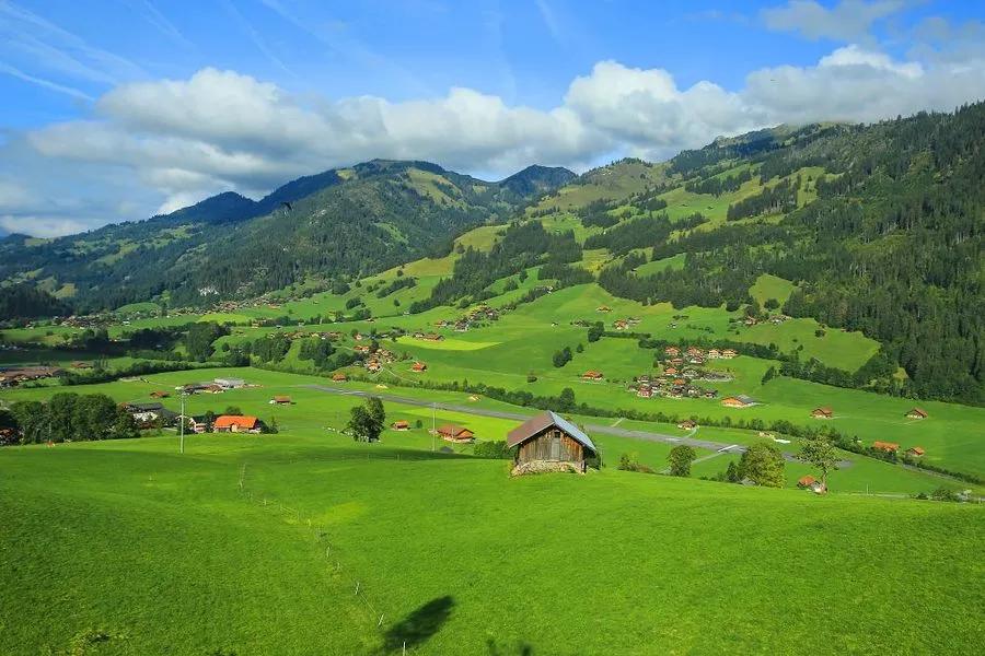本科非师范生建议考研考教育学吗,非师范生需要自学教育学吗