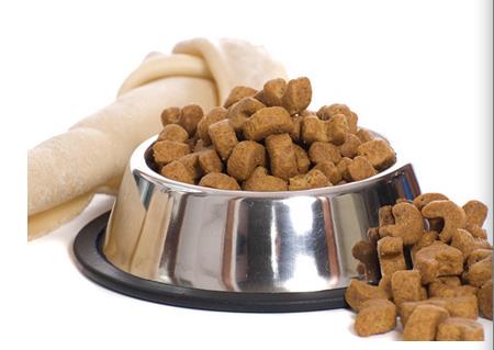 贵宾犬一般吃什么狗粮好,贵宾犬吃什么狗粮好