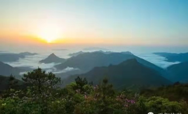 温州5个宝藏古村,温州宝藏打卡地