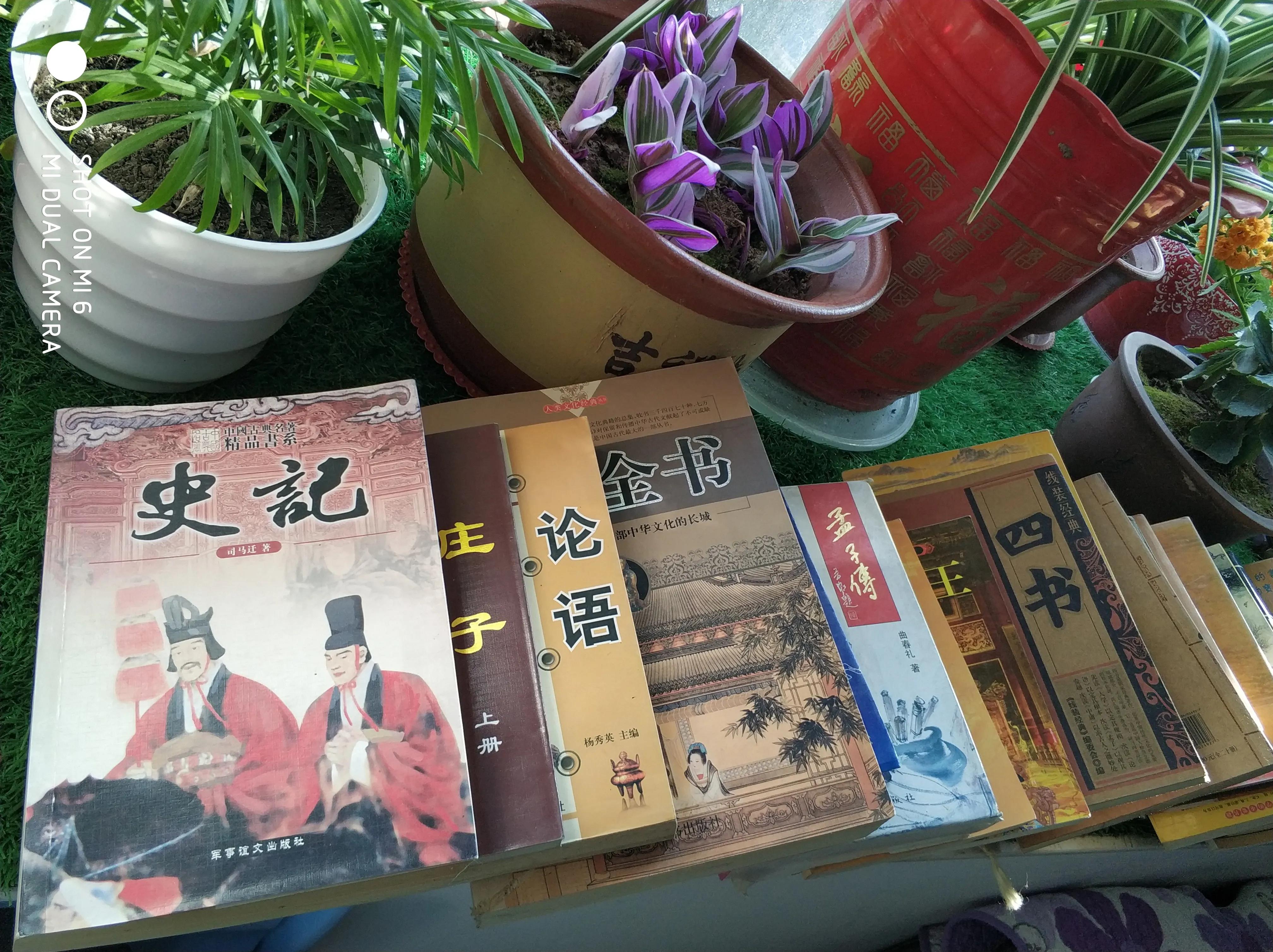 娲嬫渤澶ф洸灏佸潧鑰侀厭,娲嬫渤鑰侀厭鍥剧墖澶у叏