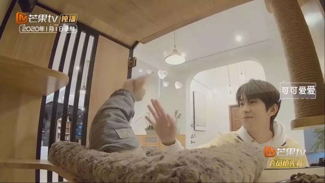 关于易烊千玺综艺,易烊千玺借东西